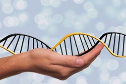 Salute e malattia: la genetica non è un destino